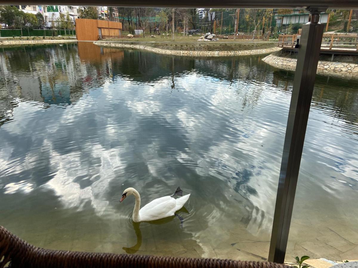 Mb Luxury Apartments Tiranë Eksteriør bilde